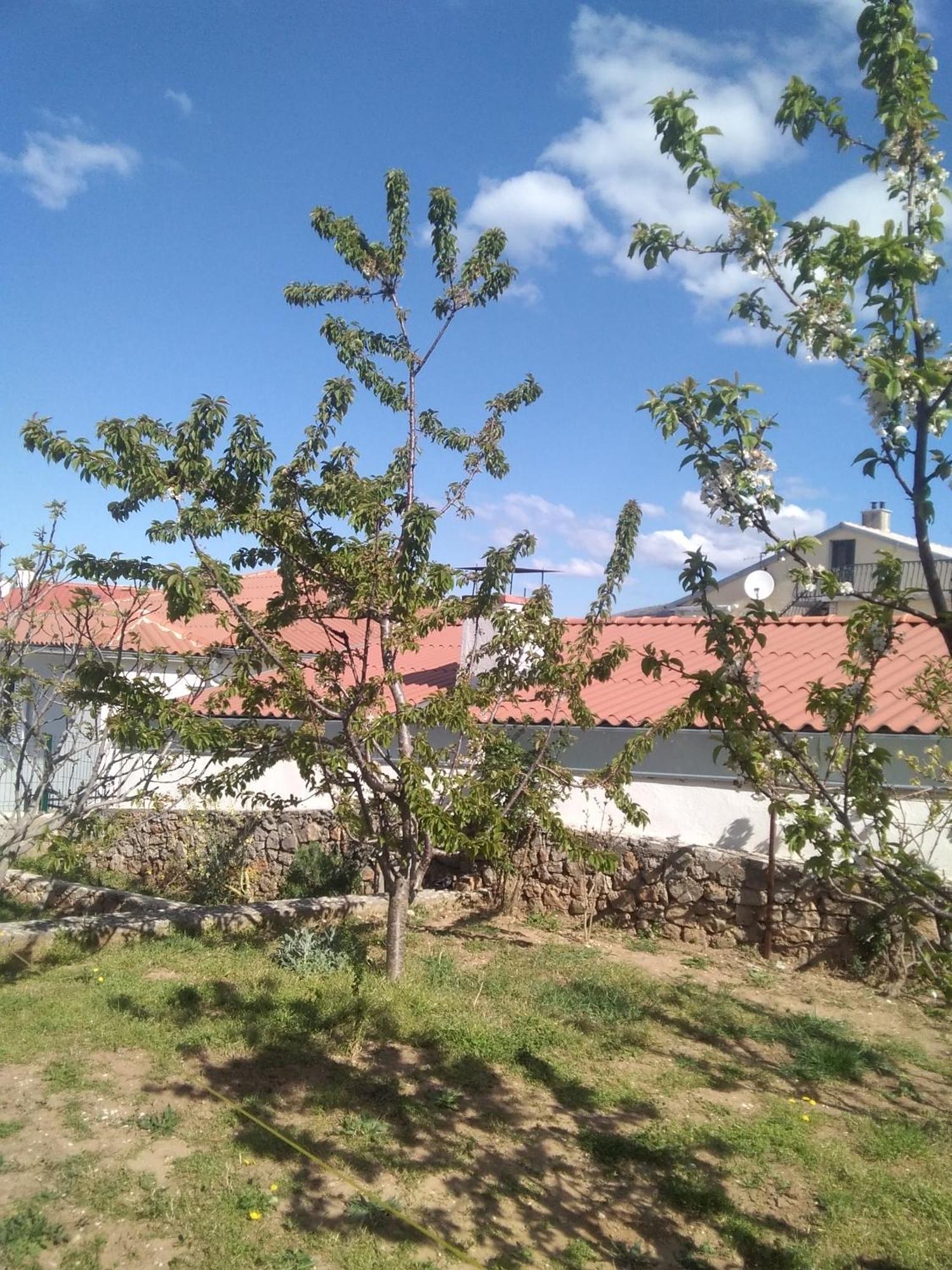 Guesthouse Martina Сен Екстериор снимка