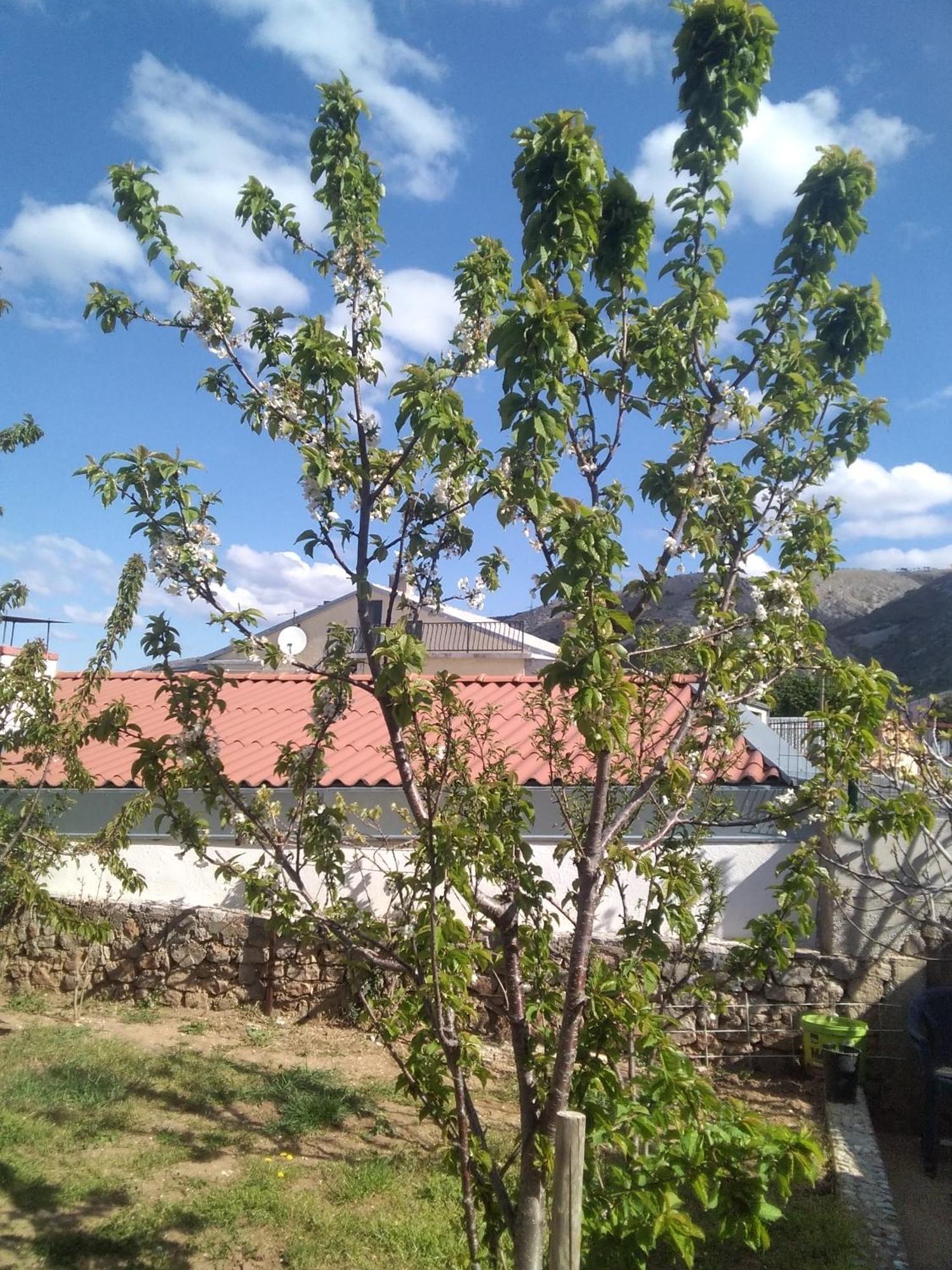 Guesthouse Martina Сен Екстериор снимка
